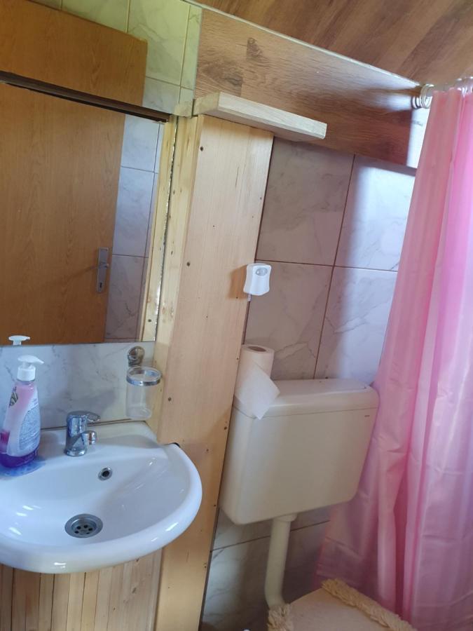 Planinska Koliba Ajdanovici Jelovac Nisicka Visoravan Olovo  Exteriör bild